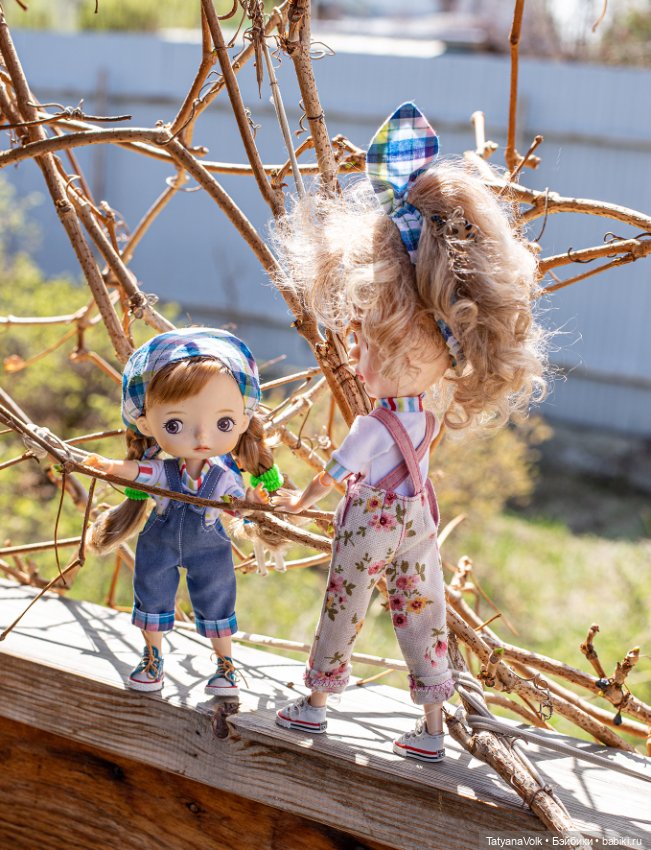 Мир-труд-май! Все в огород (фото 4)