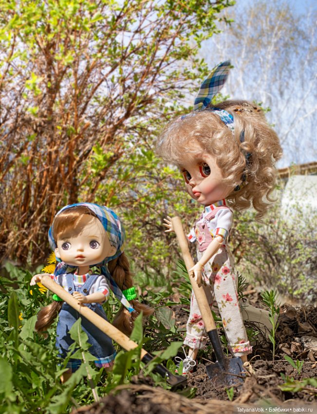 Мир-труд-май! Все в огород (фото 2)