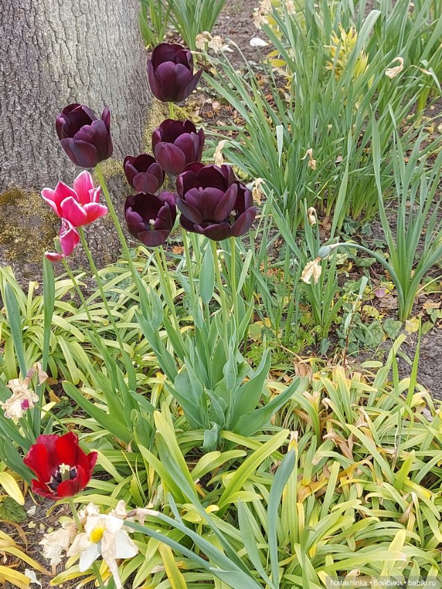 Fashion Dolls 352 — Куклы Звезды подиума (Angel Collection): шарнирные