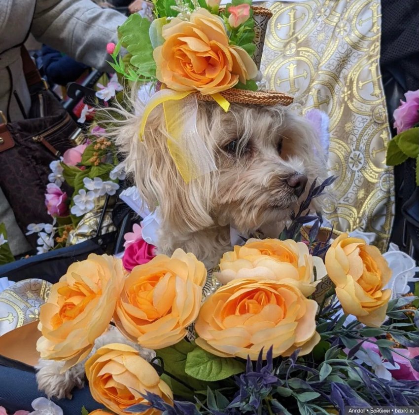 Все дело в шляпке — Культура