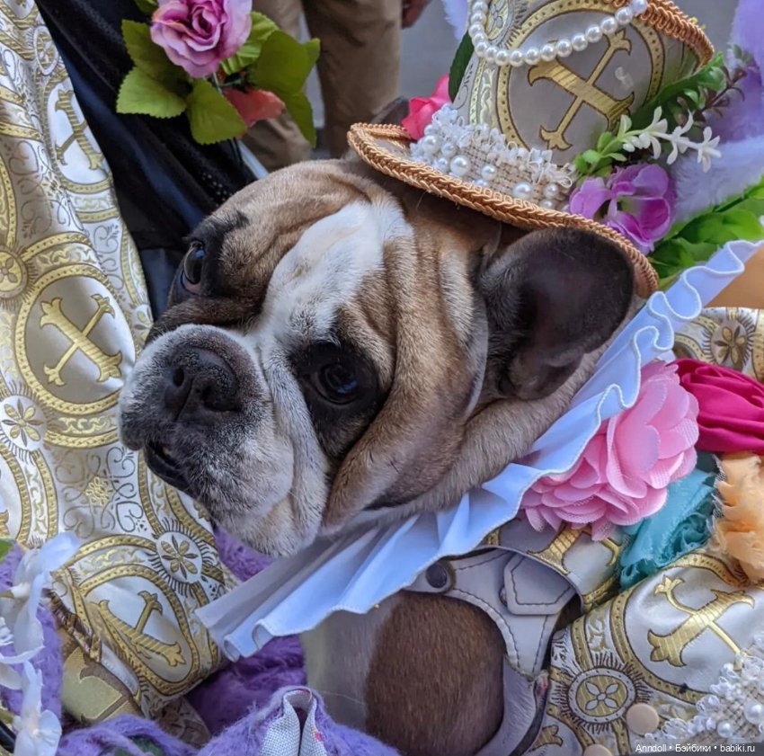 Все дело в шляпке — Культура