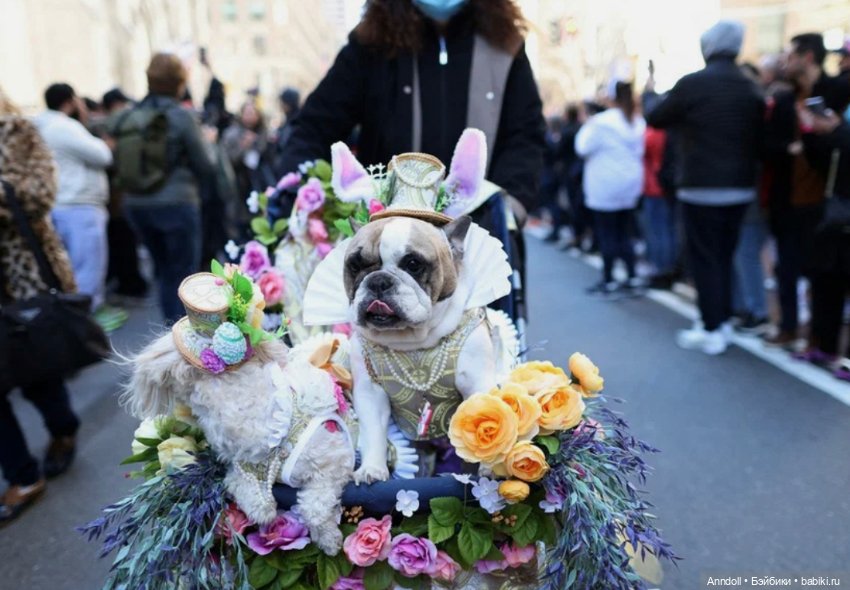 Все дело в шляпке — Культура