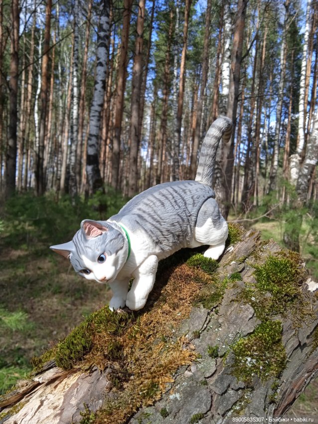 Весенняя прогулка котиков (фото 7)