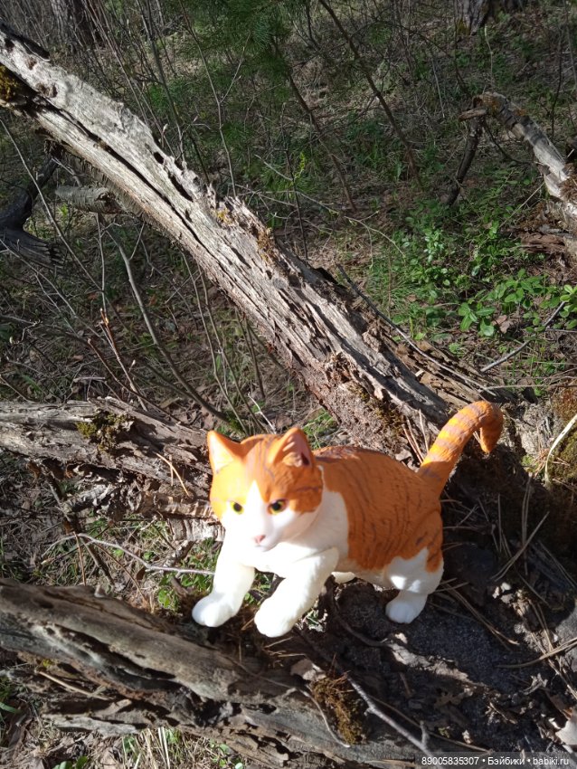 Весенняя прогулка котиков (фото 6)