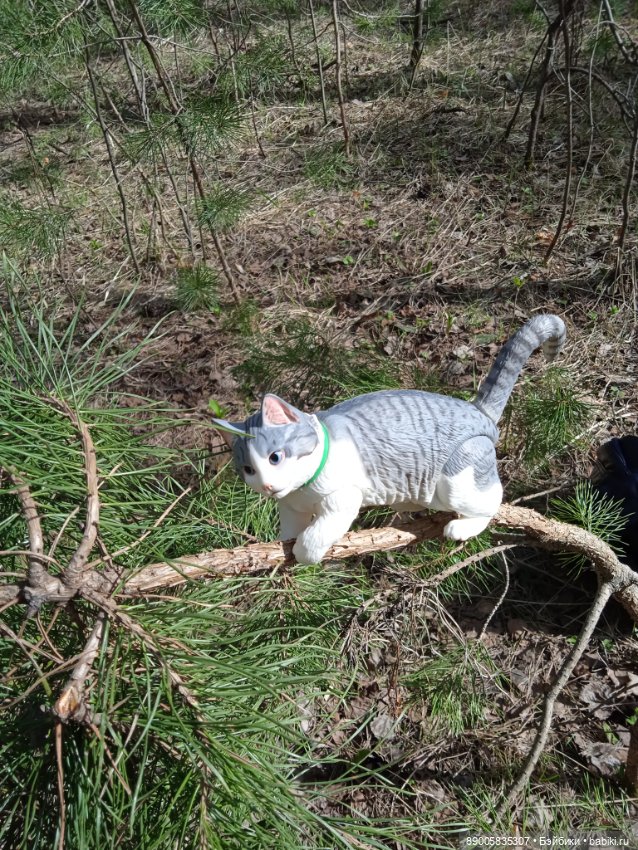 Весенняя прогулка котиков (фото 10)