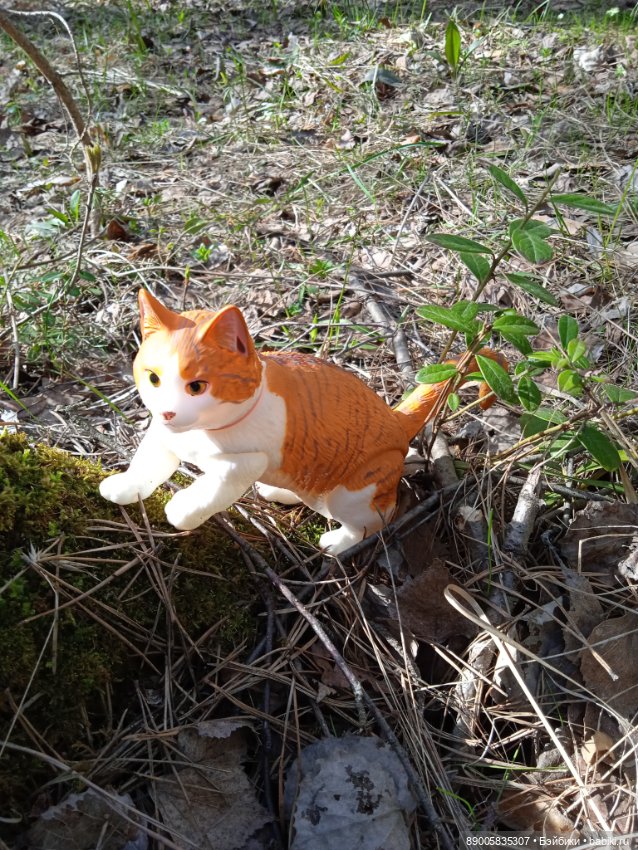 Весенняя прогулка котиков