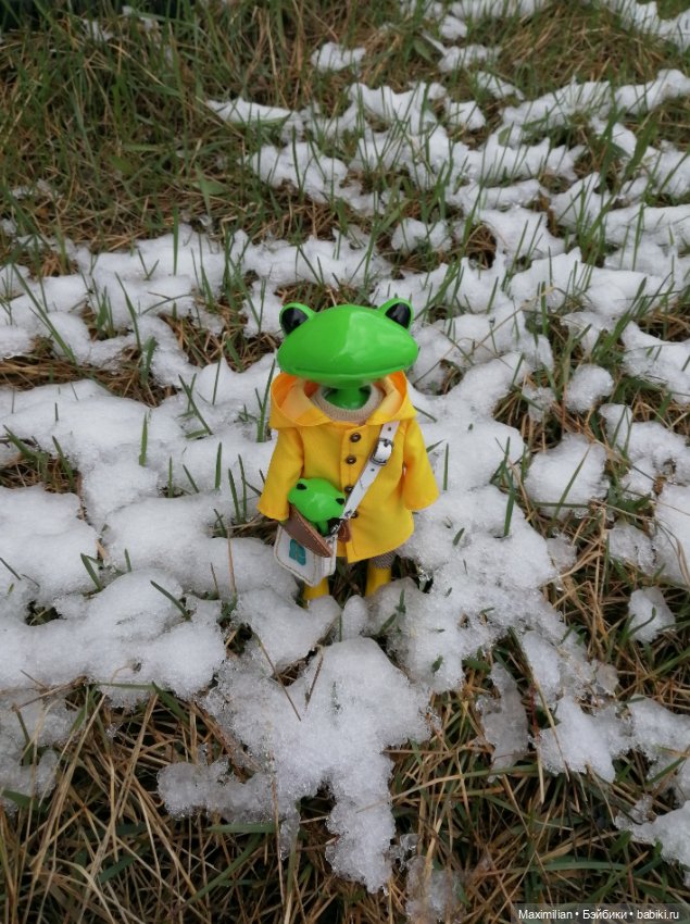 Лягушка Wonder Frog. Наша суровая весна
