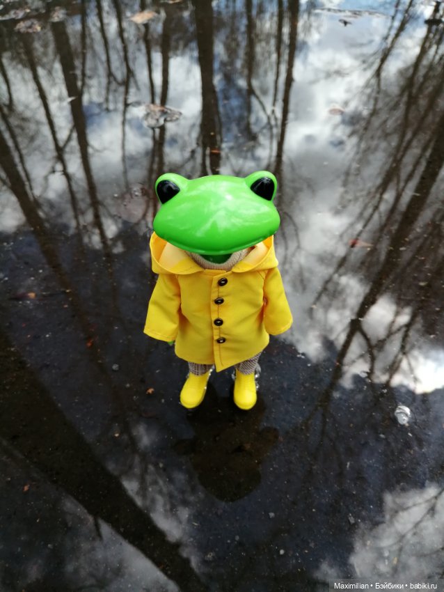 Лягушка Wonder Frog. Наша суровая весна (фото 9)