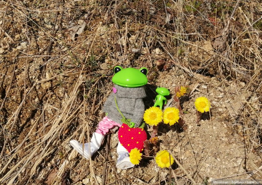 Лягушка Wonder Frog. Наша суровая весна (фото 6)