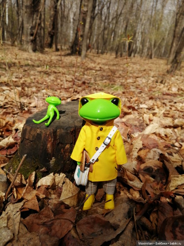 Лягушка Wonder Frog. Наша суровая весна