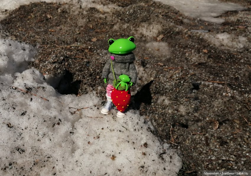 Лягушка Wonder Frog. Наша суровая весна (фото 4)