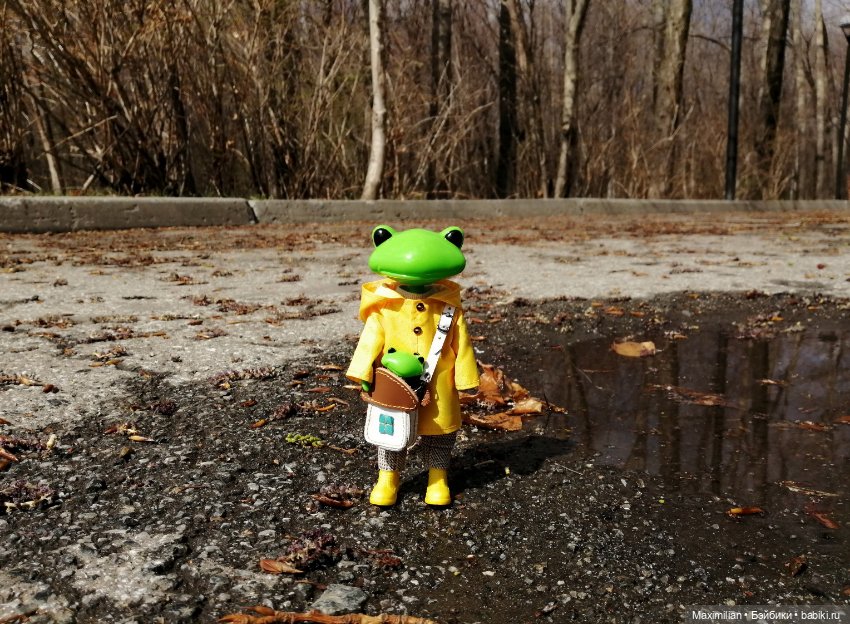 Лягушка Wonder Frog. Наша суровая весна