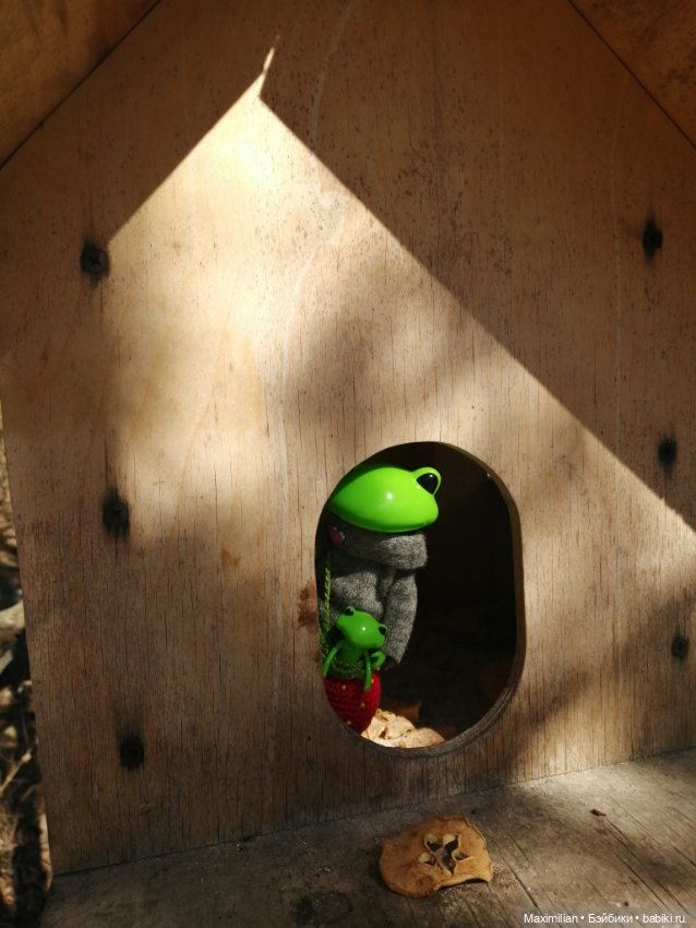 Лягушка Wonder Frog. Наша суровая весна (фото 5)