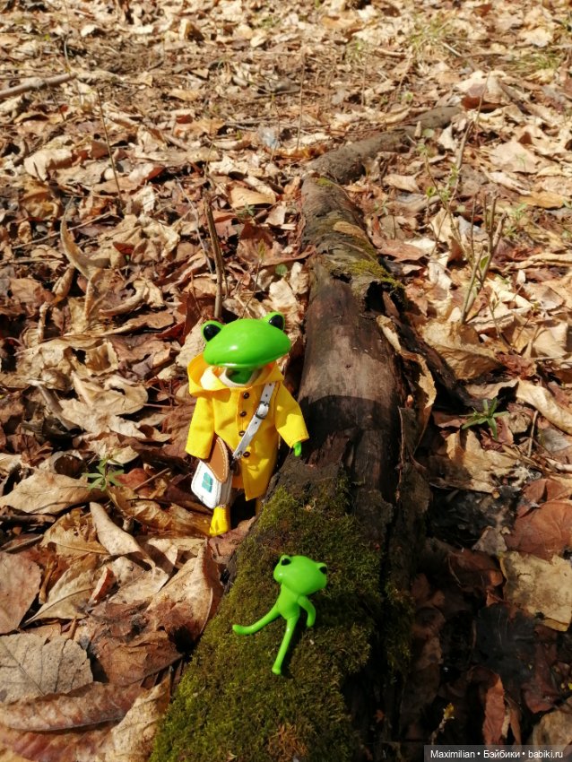 Лягушка Wonder Frog. Наша суровая весна