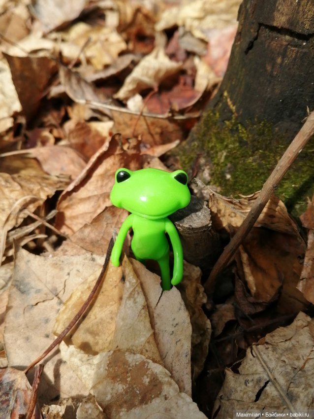 Лягушка Wonder Frog. Наша суровая весна