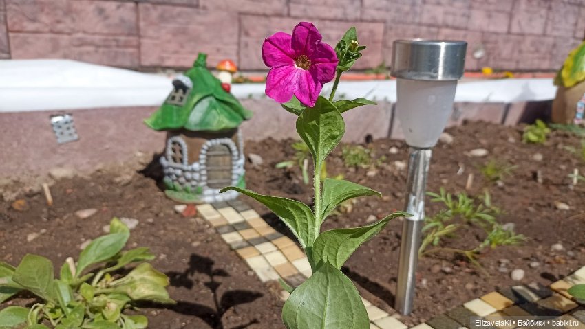 Время тепла. Realpuki. 158