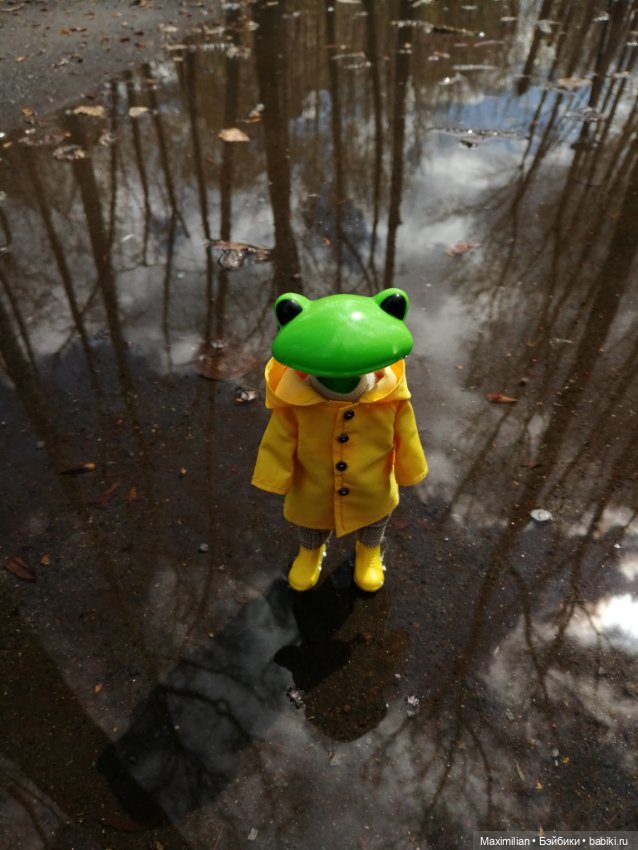 Лягушка Wonder Frog. Наша суровая весна (фото 10)