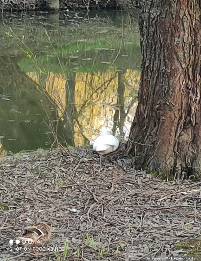 Куколки и птички — Куклы Baboliy (Баболи (фото 4)