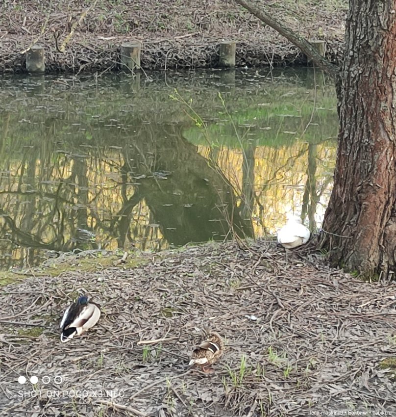 Куколки и птички — Куклы Baboliy (Баболи