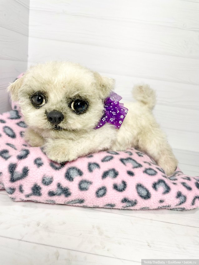 Каспер 🐾мальтезе тедди 🐶 — Реалистичные игрушки и звери (Натюр): собаки
