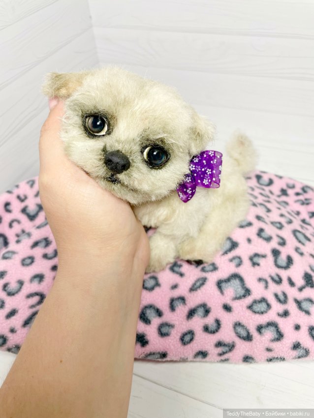 Каспер 🐾мальтезе тедди 🐶 — Реалистичные игрушки и звери (Натюр): собаки (фото 7)