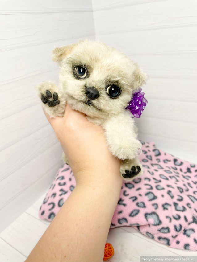 Каспер 🐾мальтезе тедди 🐶 — Реалистичные игрушки и звери (Натюр): собаки