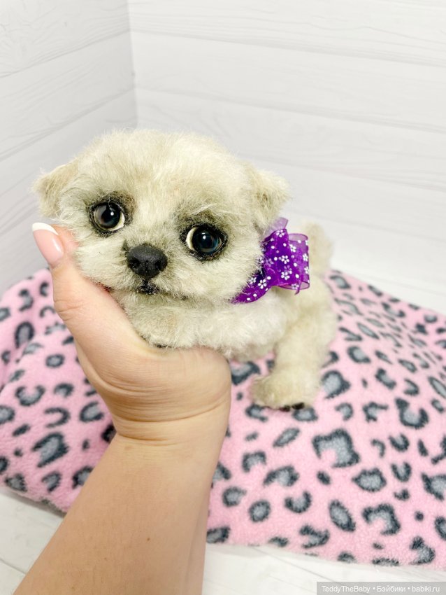 Каспер 🐾мальтезе тедди 🐶 — Реалистичные игрушки и звери (Натюр): собаки (фото 10)