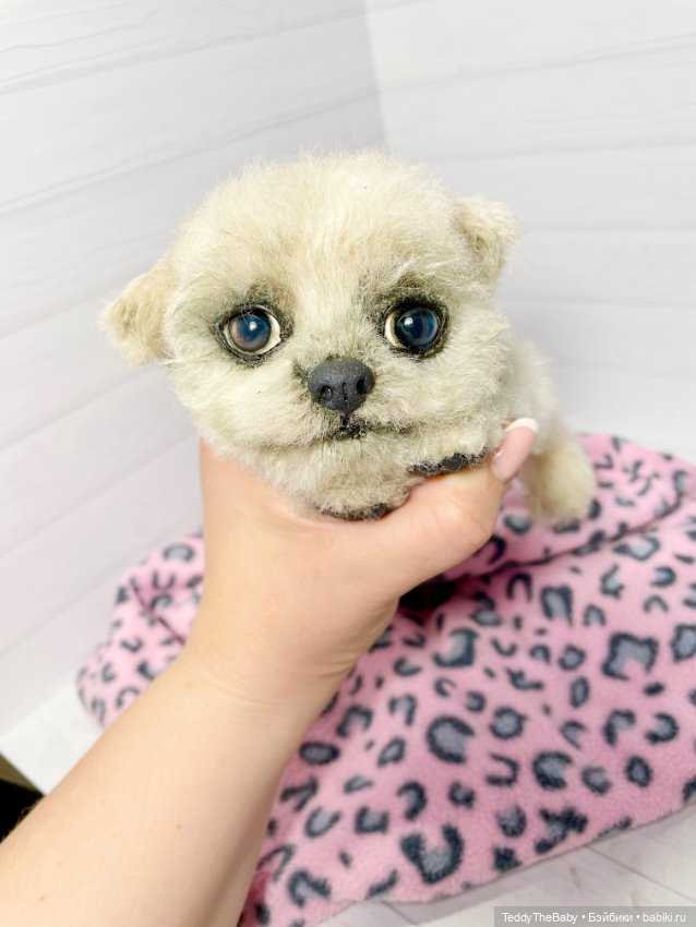 Каспер 🐾мальтезе тедди 🐶 — Реалистичные игрушки и звери (Натюр): собаки (фото 4)