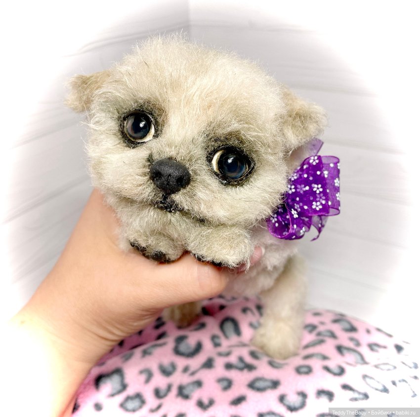 Каспер 🐾мальтезе тедди 🐶 — Реалистичные игрушки и звери (Натюр): собаки