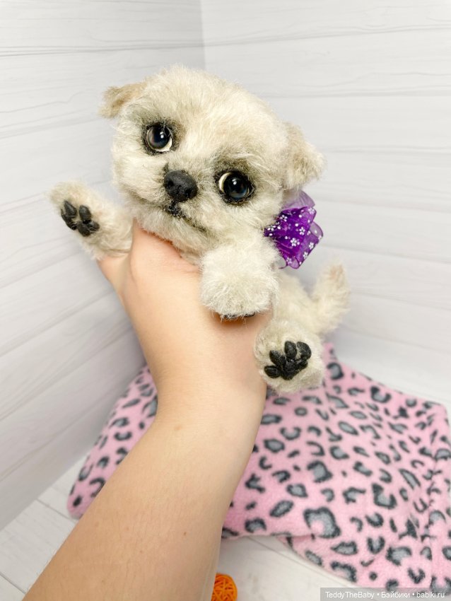 Каспер 🐾мальтезе тедди 🐶 — Реалистичные игрушки и звери (Натюр): собаки