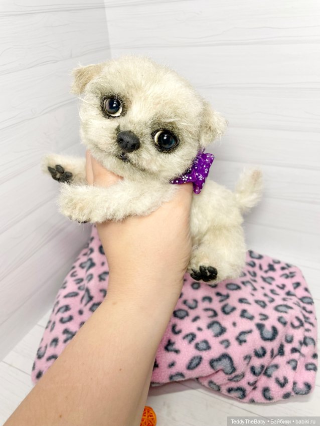 Каспер 🐾мальтезе тедди 🐶 — Реалистичные игрушки и звери (Натюр): собаки
