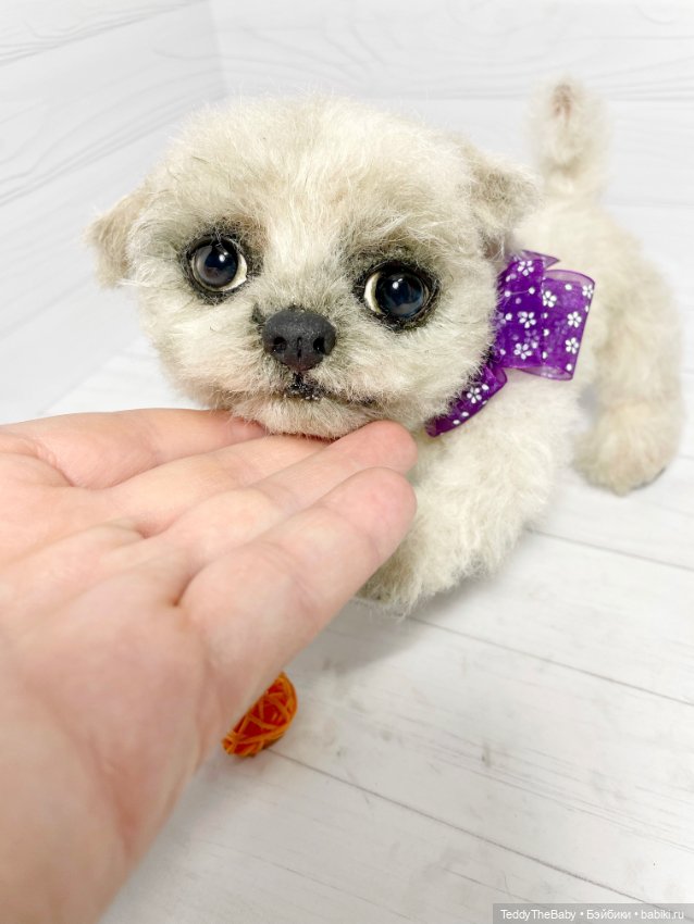 Каспер 🐾мальтезе тедди 🐶 — Реалистичные игрушки и звери (Натюр): собаки