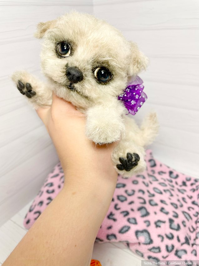 Каспер 🐾мальтезе тедди 🐶 — Реалистичные игрушки и звери (Натюр): собаки