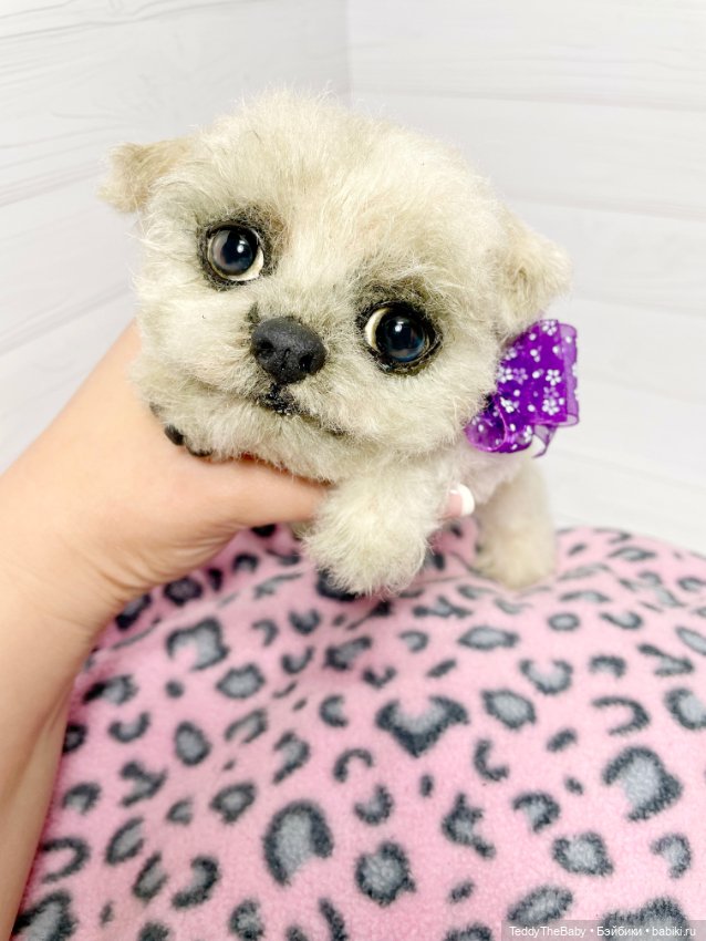 Каспер 🐾мальтезе тедди 🐶 — Реалистичные игрушки и звери (Натюр): собаки (фото 5)