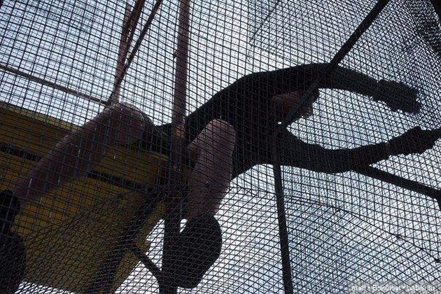 Скульптуры итальянского скульптора Эдоардо Тресольди (Edoardo Tresoldi)