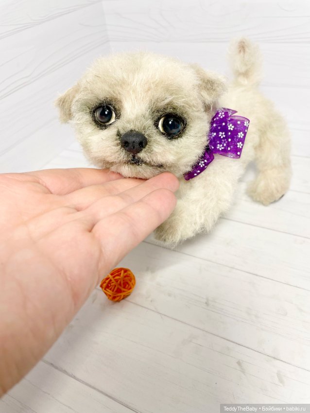 Каспер 🐾мальтезе тедди 🐶 — Реалистичные игрушки и звери (Натюр): собаки
