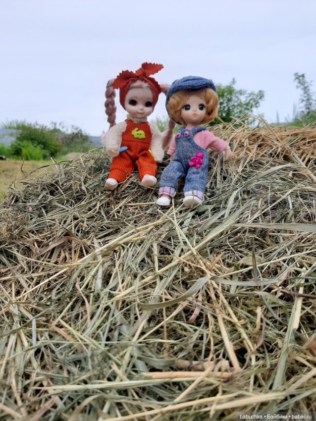 Полезное с приятным — Куклы Baboliy (Баболи