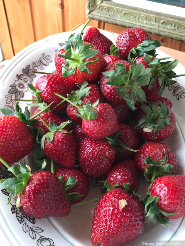 Клубничка 🍓 — Куклы Irrealdoll (Ирреалдолл): BJD (БЖД) (фото 4)