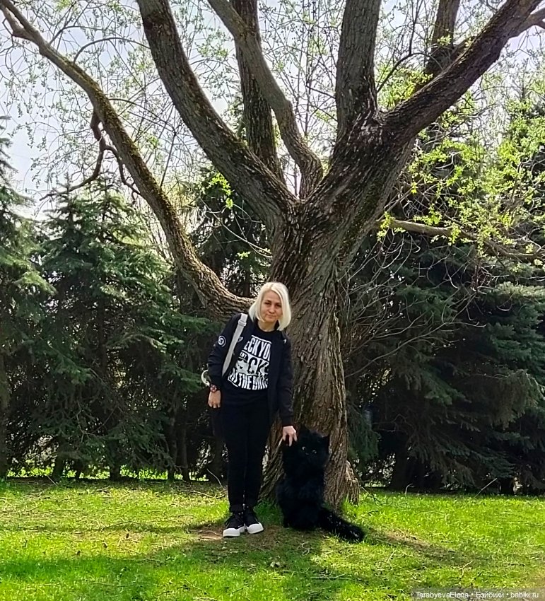 Моя новая работа - кот-Бегемот