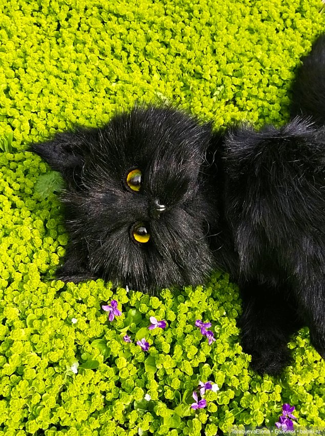 Моя новая работа - кот-Бегемот (фото 4)