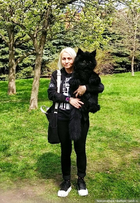 Моя новая работа - кот-Бегемот