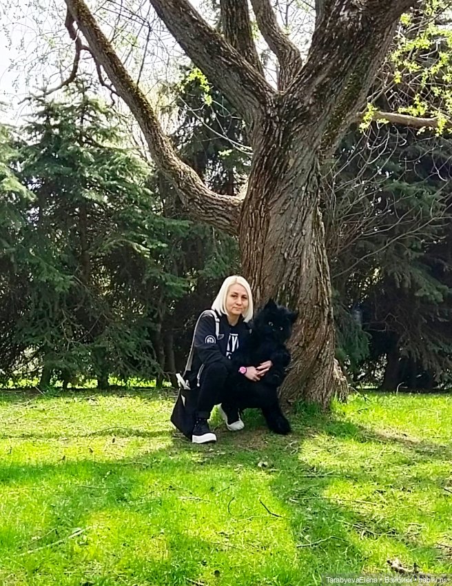 Моя новая работа - кот-Бегемот