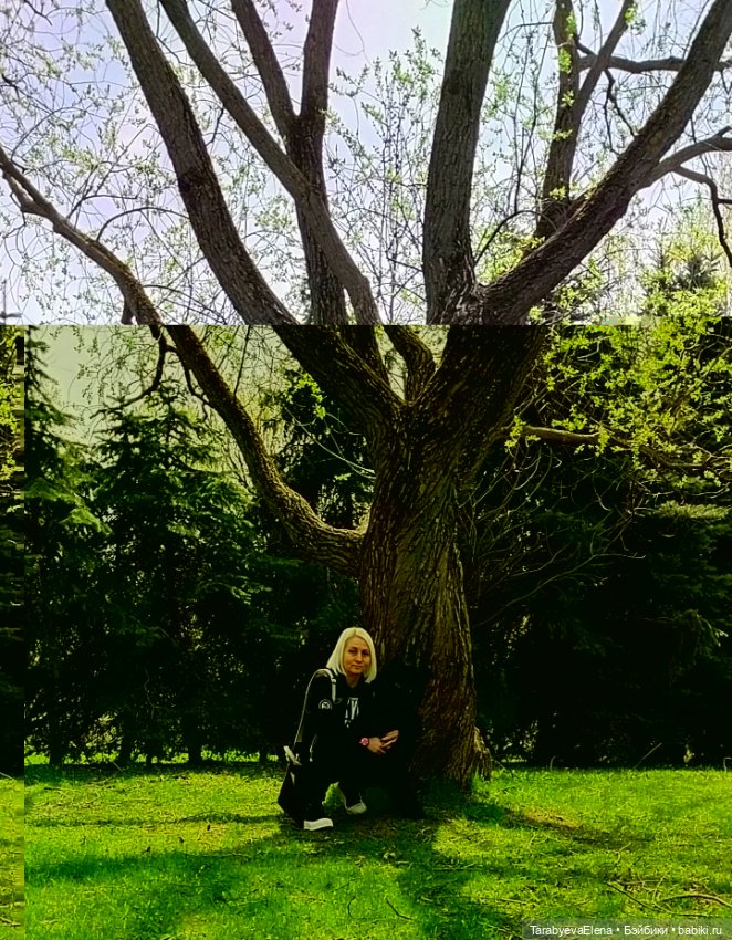 Моя новая работа - кот-Бегемот