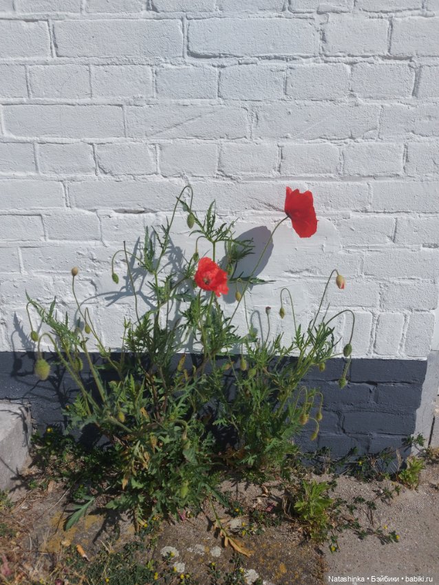 Fashion Dolls 353 — Туризм и путешествия: фотоотчеты из поездок