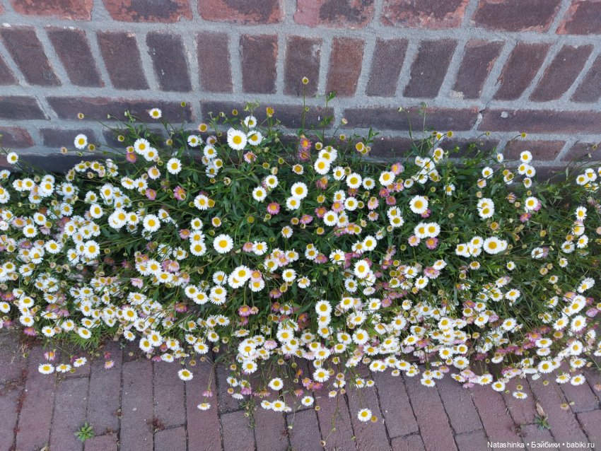 Fashion Dolls 353 — Туризм и путешествия: фотоотчеты из поездок