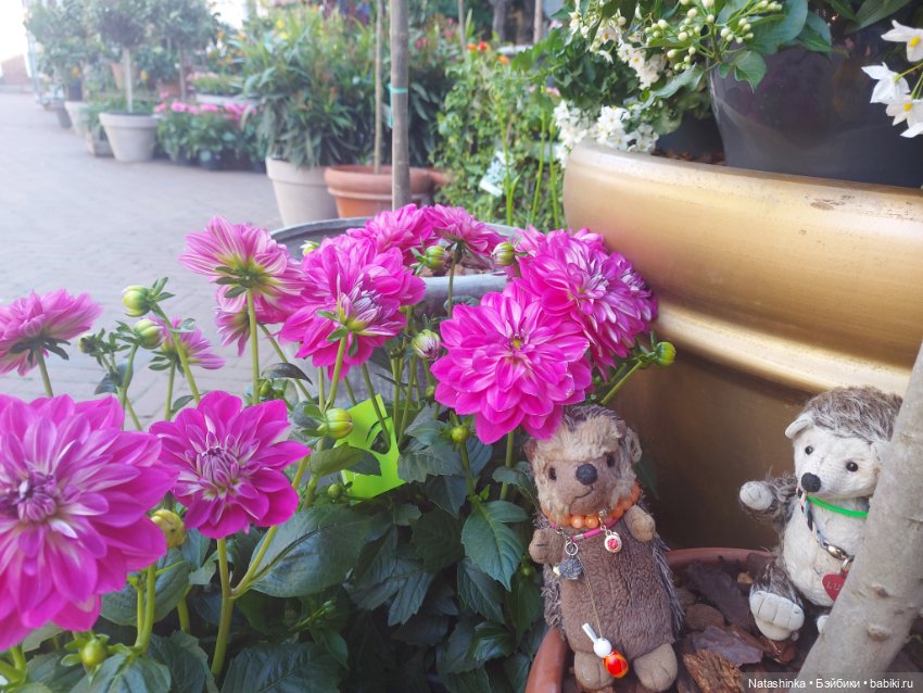 Fashion Dolls 353 — Туризм и путешествия: фотоотчеты из поездок