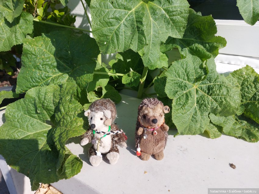 Fashion Dolls 353 — Туризм и путешествия: фотоотчеты из поездок