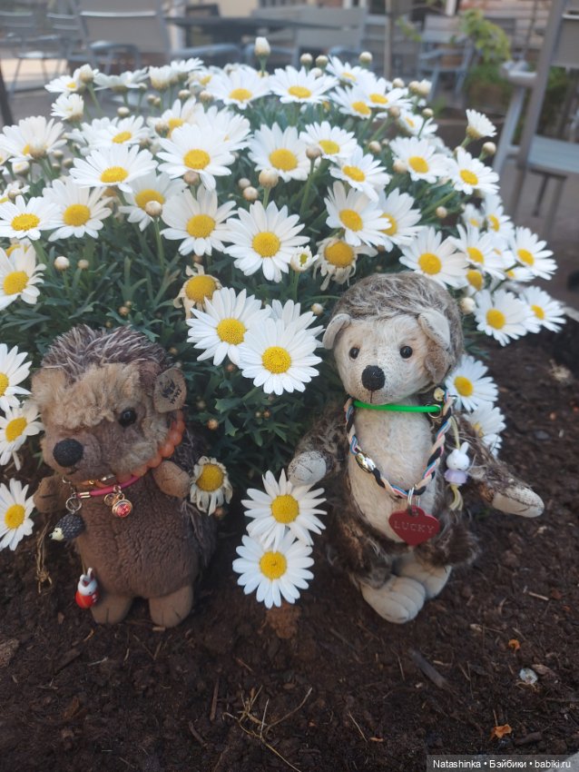 Fashion Dolls 353 — Туризм и путешествия: фотоотчеты из поездок