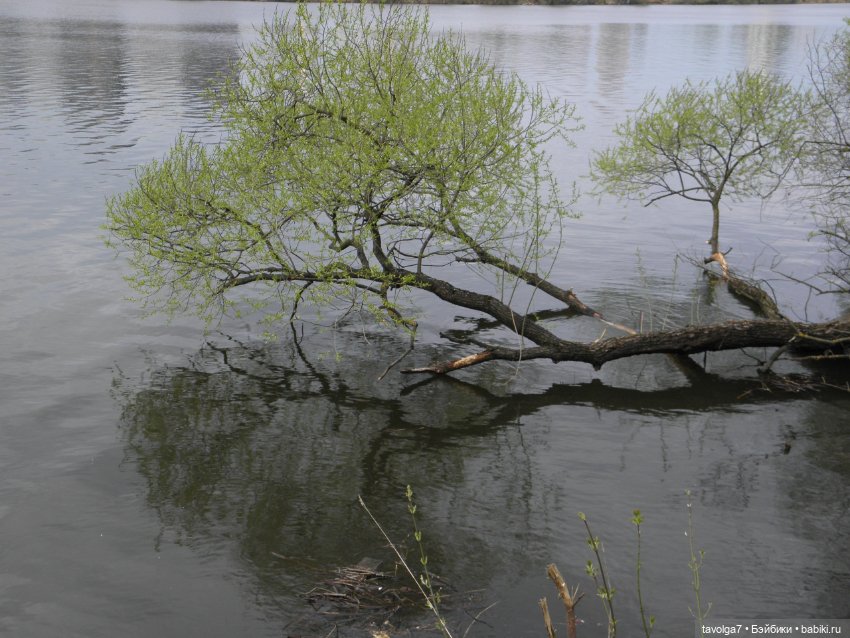 Вернувшаяся Снегурочка — Игровые куклы разных производителей (Разное): редкие бренды (фото 7)