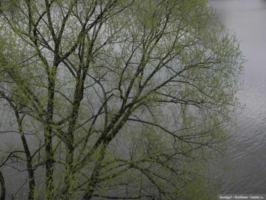 Вернувшаяся Снегурочка — Игровые куклы разных производителей (Разное): редкие бренды (фото 5)